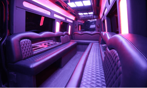 Memphis 14 Passenger Sprinter Bus Interior